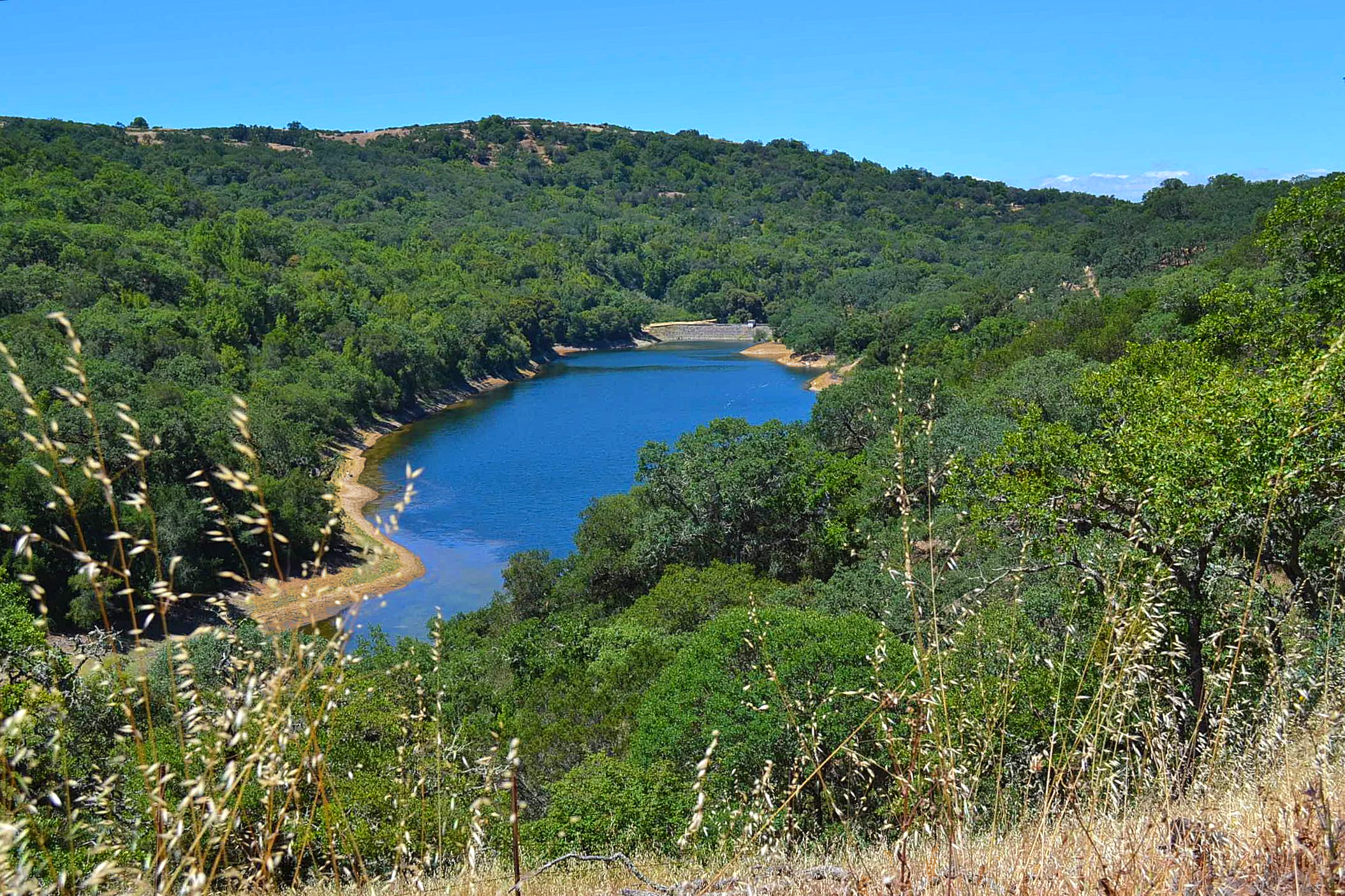 Open Space Authority Board Votes to Put Open Space Funding Measure on